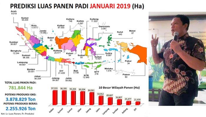 2,255 Juta Ton, Potensi Produksi Beras Januari 2019 dari 781,8 Ribu Ha